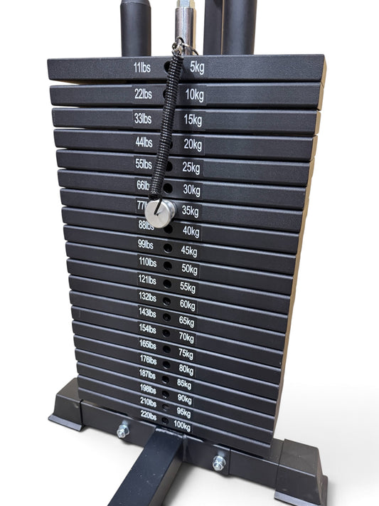 WALL MOUNTED DUAL CABLE PULLEY MACHINE - 100KG STACK