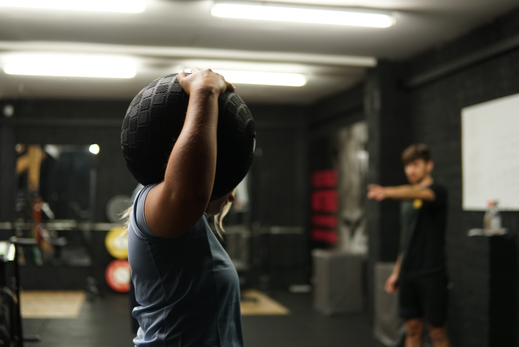 Rock Solid Free Weight Storage Racks MEDICINE/SLAM BALL RACK