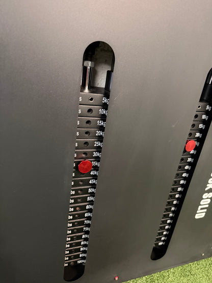 SLIMLINE DUAL CABLE PULLEY MACHINE 2 x 100KG STACKS