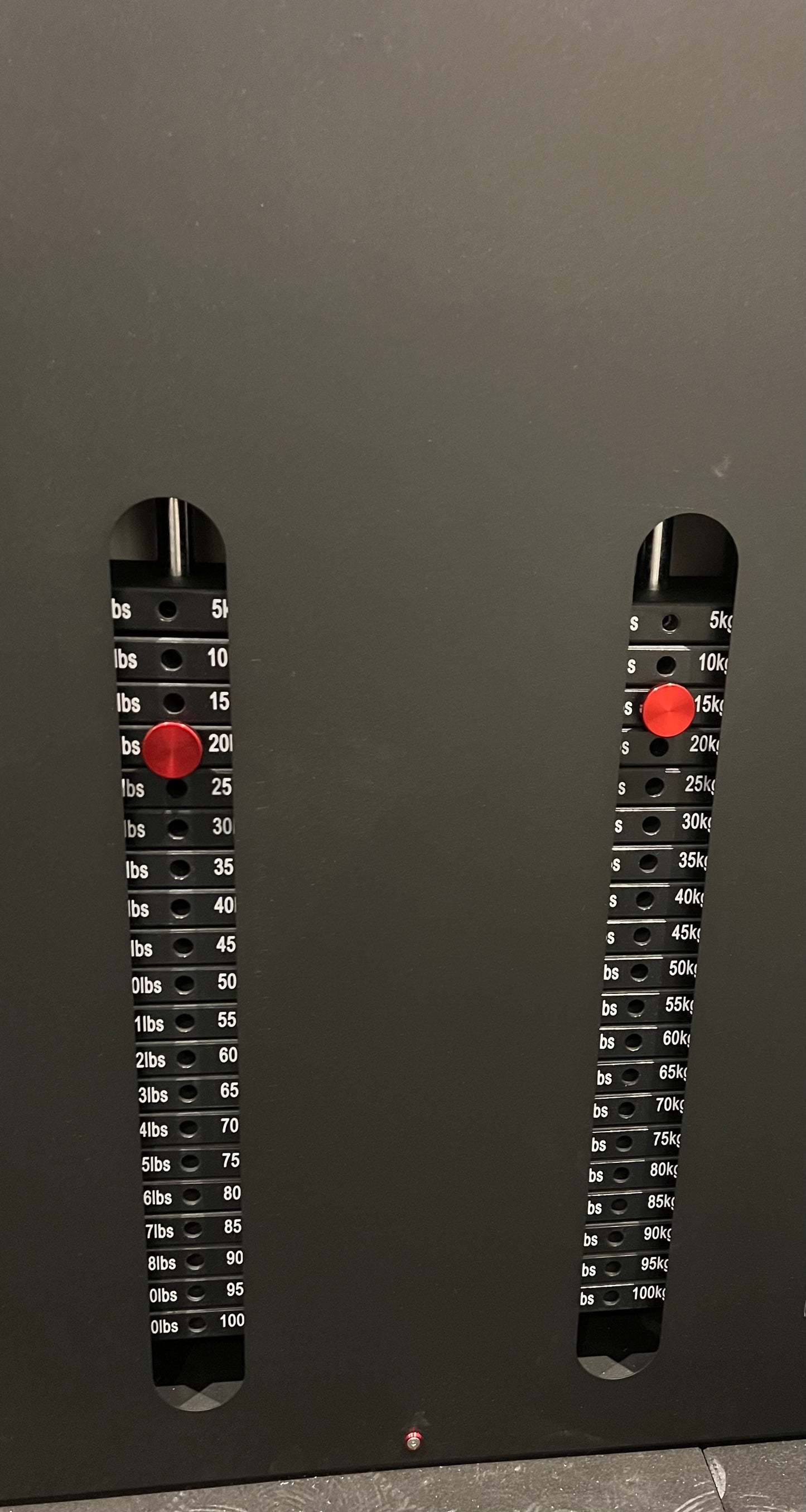 SLIMLINE DUAL CABLE PULLEY MACHINE 2 x 100KG STACKS